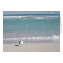 bird sailboat at ocean cards