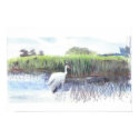 Bird Santuary posters