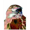 Bird t-shirts by susanrozen Bird t-shirts