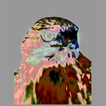 Bird t-shirts