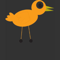 Bird Shirt