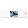 bird,silhouette bumper sticker