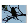 bird,silhouette cards
