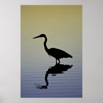 Bird Silhouette on Water Poster