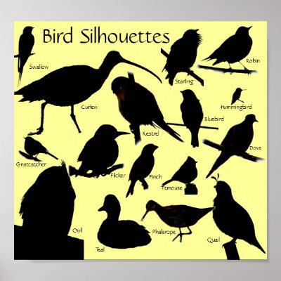 Bird Silhouettes (16) Poster by naturalphotos