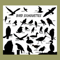 Bird Silhouettes (29) Poster posters
