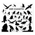Bird Silhouettes (29) Poster posters