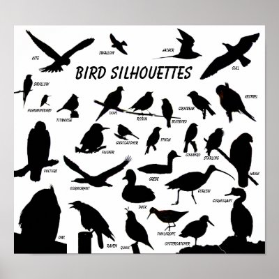 Bird Silhouettes (29) Poster by naturalphotos