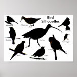 Bird Silhouettes 2 Poster