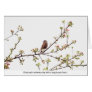 Bird Singing a Happy Song Greeting Cards