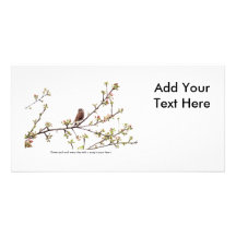 Bird Singing a Happy Song Photo Card