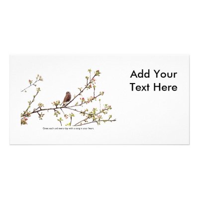 Bird Singing a Happy Song Photo Card by funnaturephotography