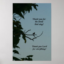 Bird singing, thank you Lord! poster