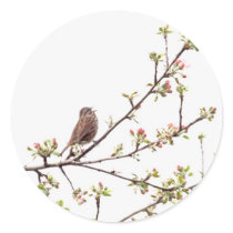 Bird Singing with Spring Flowers Round Sticker