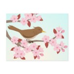 Bird sitting in a cherry blossom tree postcard