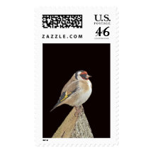Bird Stamps