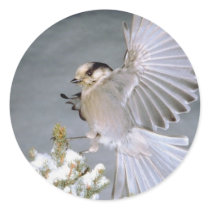 Bird Sticker by lynnhsmomof2 Bird Sticker