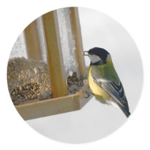 Bird Stickers