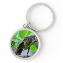 Bird Stretching on Magnolia Tree Key Chain