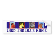 Bird the Blue Ridge bumper stickers