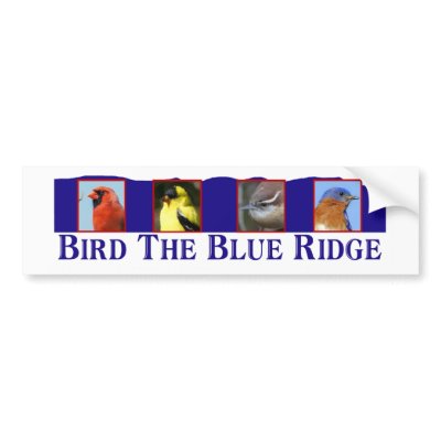 Bird the Blue Ridge Bumper Sticker by nakedzealot