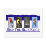 Bird the Blue Ridge Post Cards