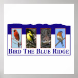 Bird the Blue Ridge Print