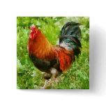 Bird - The Rooster Button