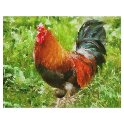 Bird - The Rooster Custom Flyer by suburbanscenes