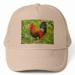 Bird - The Rooster Mesh Hats