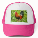 Bird - The Rooster Mesh Hat