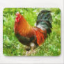 Bird - The Rooster Mousepads