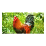 Bird - The Rooster Photo Greeting Card