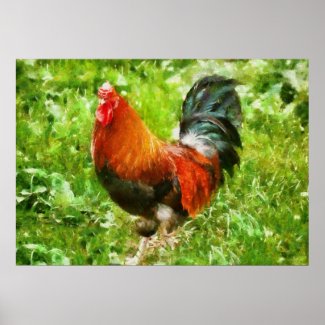 Bird - The Rooster print