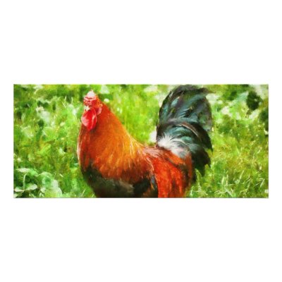 Bird - The Rooster Rack Cards by suburbanscenes