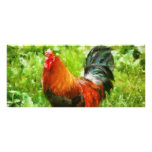 Bird - The Rooster Rack Cards