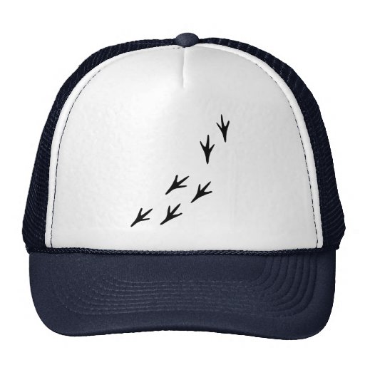 Bird - Tracks Mesh Hat