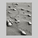 Bird Tracks & Rocks B&W Wrapped Canvas canvas prints