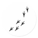 Bird - Tracks stickers