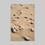 Bird Tracks Wrapped Canvas canvas prints