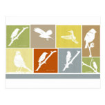 Bird Variety Post Cards