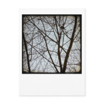 Bird Watch postcards by FelicitasArt Bird Watch postcards