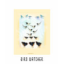 Bird watcher - multi bird painting t-shirts