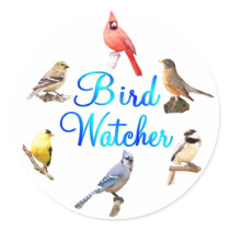 Bird Watcher Sticker