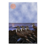 'Bird Watchers'