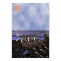 'Bird Watchers' posters by Pro_Artz 'Bird Watchers' posters