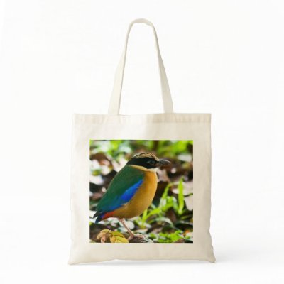 Bird Watching Bag by Rb_barnes2