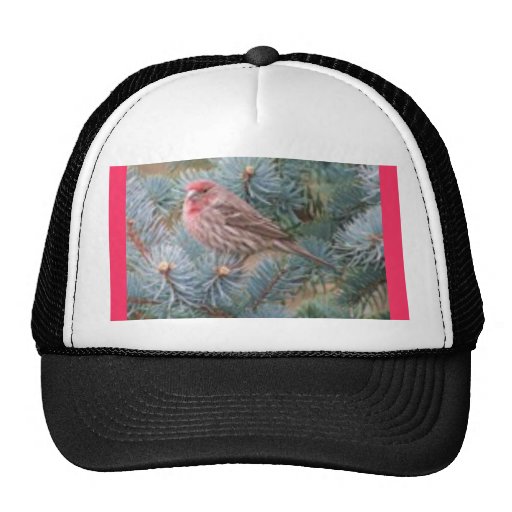 BIRD WATCHING CAP TRUCKER HAT Zazzle