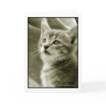 Bird Watching Card cards