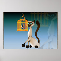 Bird Watching Kitty Poster